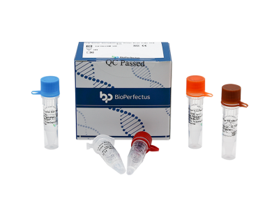 Tick-borne Encephalitis Virus Real Time PCR Kit