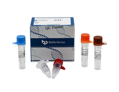 Toscana Virus Real Time PCR Kit