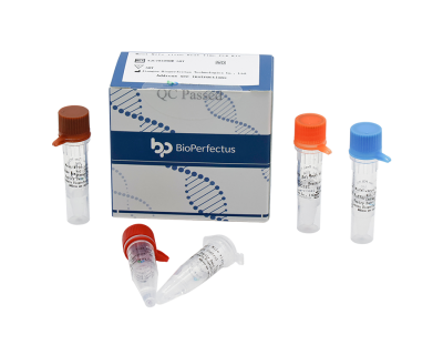 Virus West Nile Real Time PCR Kit