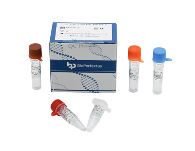 Yellow Fever Virus Real Time PCR Kit