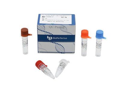 Zika Virus Real Time PCR Kit
