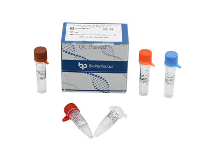 Dengue Virus Type 1 & Type 2 Real Time PCR Kit