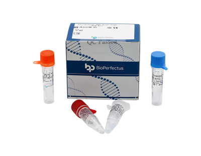 Plasmodium DNA Real Time PCR Kit