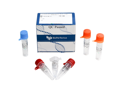 Plasmodium Genotyping Real Time PCR Kit