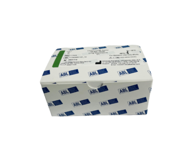 DeepChek<sup>®</sup> Assay Whole Genome BKV Genotyping Kit